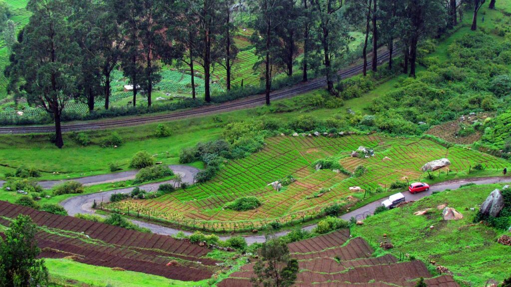 guide to Ooty trip